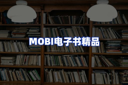 外文电子书产品